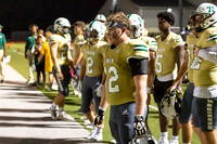 17_TWCA_FRASSATI_FB__-(WRIGHT)