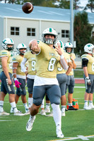 03_TWCA_FRASSATI_FB__-(WRIGHT)