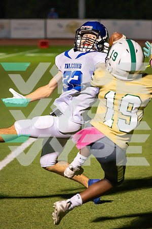 42_TWCA_FRASSATI_FB__-(WRIGHT)
