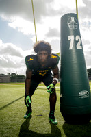 KLEIN_FOREST_FB_Brad Spence-(HARTOJO)