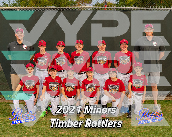 POLL Team Minors Timber Rattlers 2021