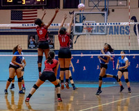 VB_MAC_AHS-40