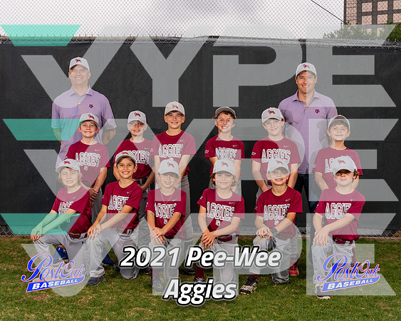POLL Team Pee-Wee Aggies 2021