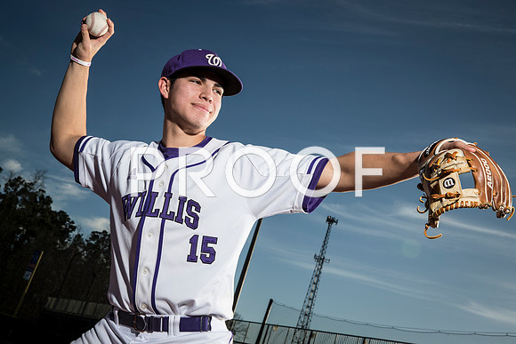 Willis - Brandon Birdsell