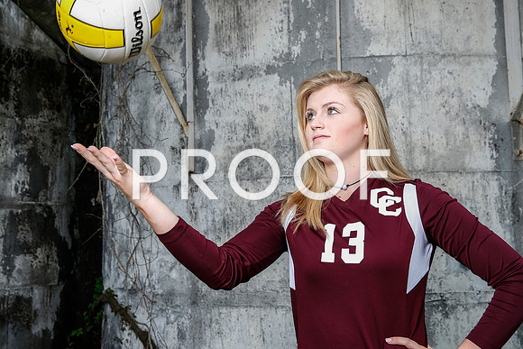 vypevolleyball2016_044