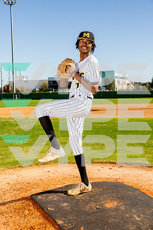 MARSHALL_BSBL_Troy Scott-(BROWN)-2