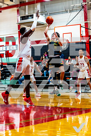 023_MANVEL_FBCA_BB_-(BCC)