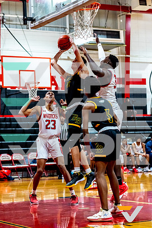 008_MANVEL_FBCA_BB_-(BCC)