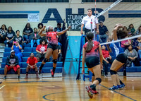 VB_MAC_AHS-11