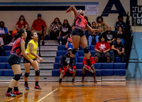 VB_MAC_AHS-12