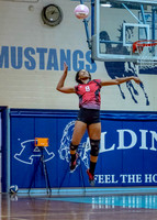 VB_MAC_AHS-14