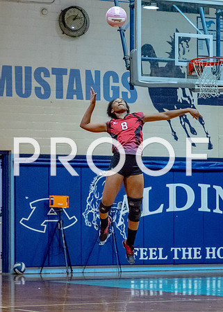 VB_MAC_AHS-14