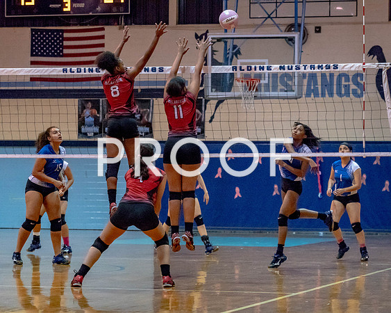 VB_MAC_AHS-40