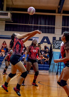 VB_MAC_AHS-8