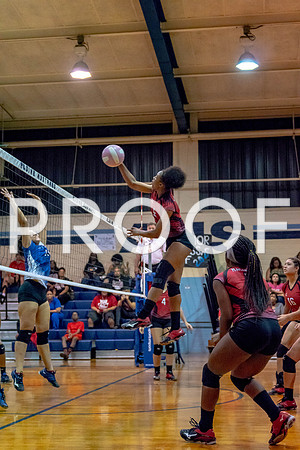 VB_MAC_AHS-19