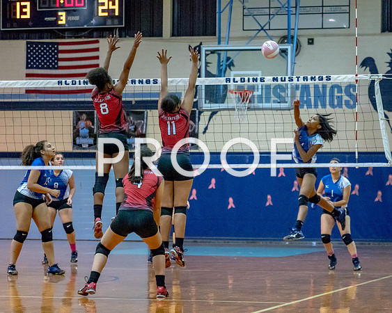 VB_MAC_AHS-39