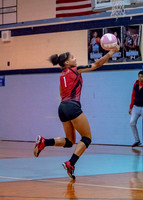 VB_MAC_AHS-16