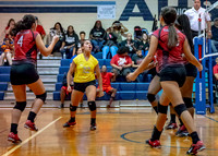 VB_MAC_AHS-10