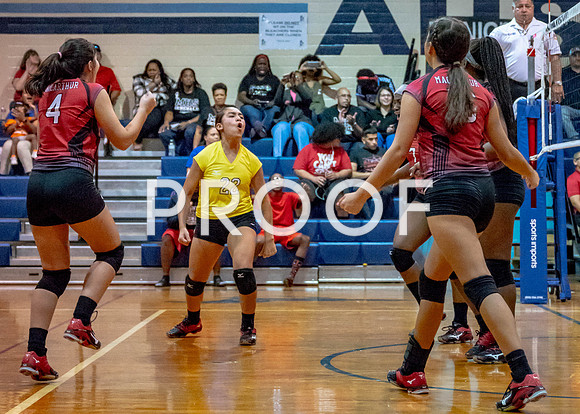 VB_MAC_AHS-10