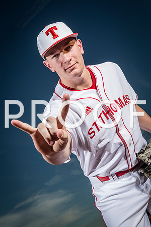 basebal.meaney