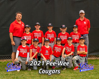 POLL Team Pee-Wee Cougars 2021