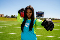 TRAVIS_GSOC_06602-(HARTOJO)