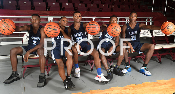 VYPEHoopsPreview8