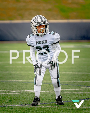 KONG_semis-38