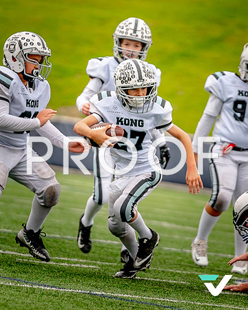 KONG_semis-52