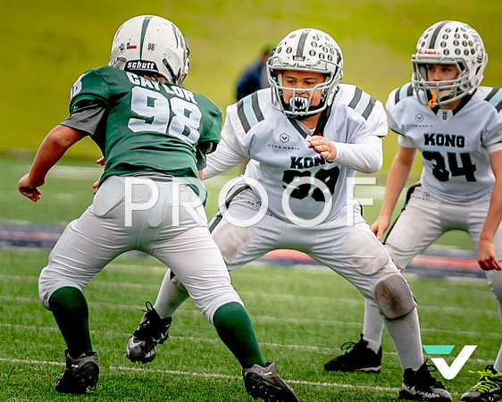 KONG_semis-44