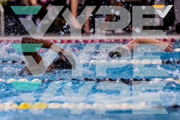 21-SPX_SWIM_-(BCC)