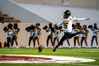 EHS_AHS-2