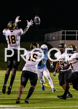 EHS_AHS-32
