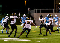 EHS_AHS-31