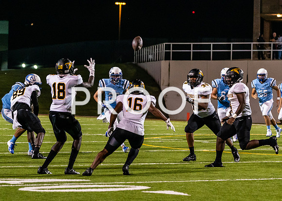 EHS_AHS-31
