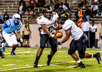 EHS_AHS-35