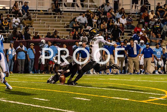 EHS_AHS-12