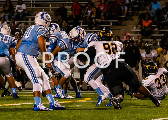 EHS_AHS-11