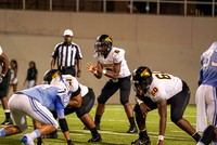 EHS_AHS-19