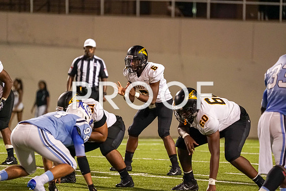 EHS_AHS-19