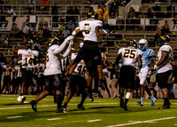 EHS_AHS-9