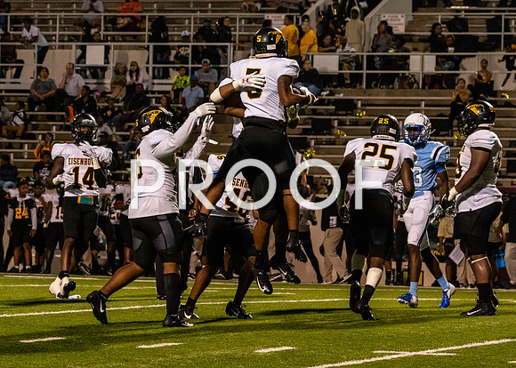 EHS_AHS-9