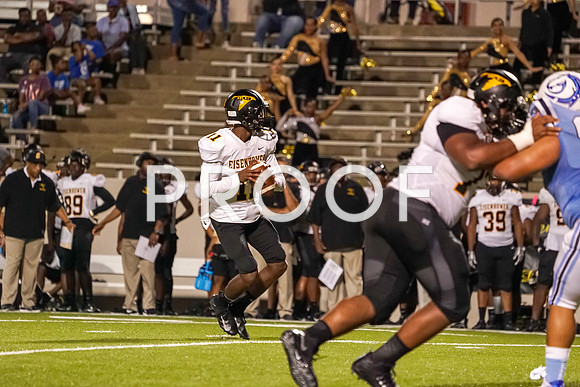 EHS_AHS-15