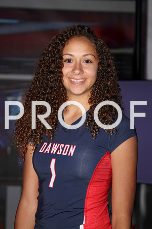 vypevolleyballpreview2013_032
