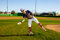 DULLES_BSBL_-(BROWN)-4