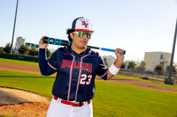 DULLES_BSBL_-(BROWN)