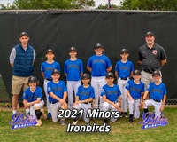 POLL Team Minors Ironbirds 2021