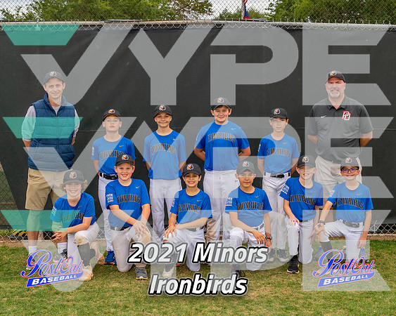 POLL Team Minors Ironbirds 2021