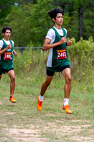 19-LSA_XC_-(BCC)