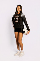 0F9A0716-ALVIN_VOLLEYBALL-(BROWN)